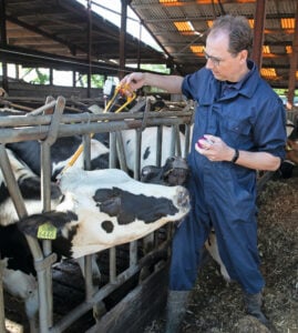 Enten is de enige zekere manier om de koeien te beschermen tegen BTV-3. Massale enting leidt ook uiteindelijk tot groepsimmuniteit,