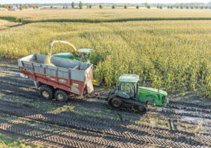 Mais is wat betreft rhizoctonia een slechte voorvrucht voor suikerbieten. Zeker wanneer de mais onder minder gunstige omstandigheden geoogst moet worden. Foto: Michel Velderman
