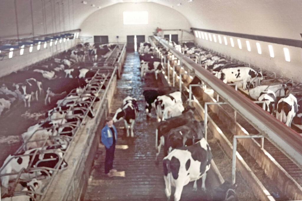 In Alberta kocht Egbert een bedrijf met 140 melkkoeien, die qua omvang vergelijkbaar was met de situatie in Nederland. Egbert dacht: uitbreiden kan altijd nog.