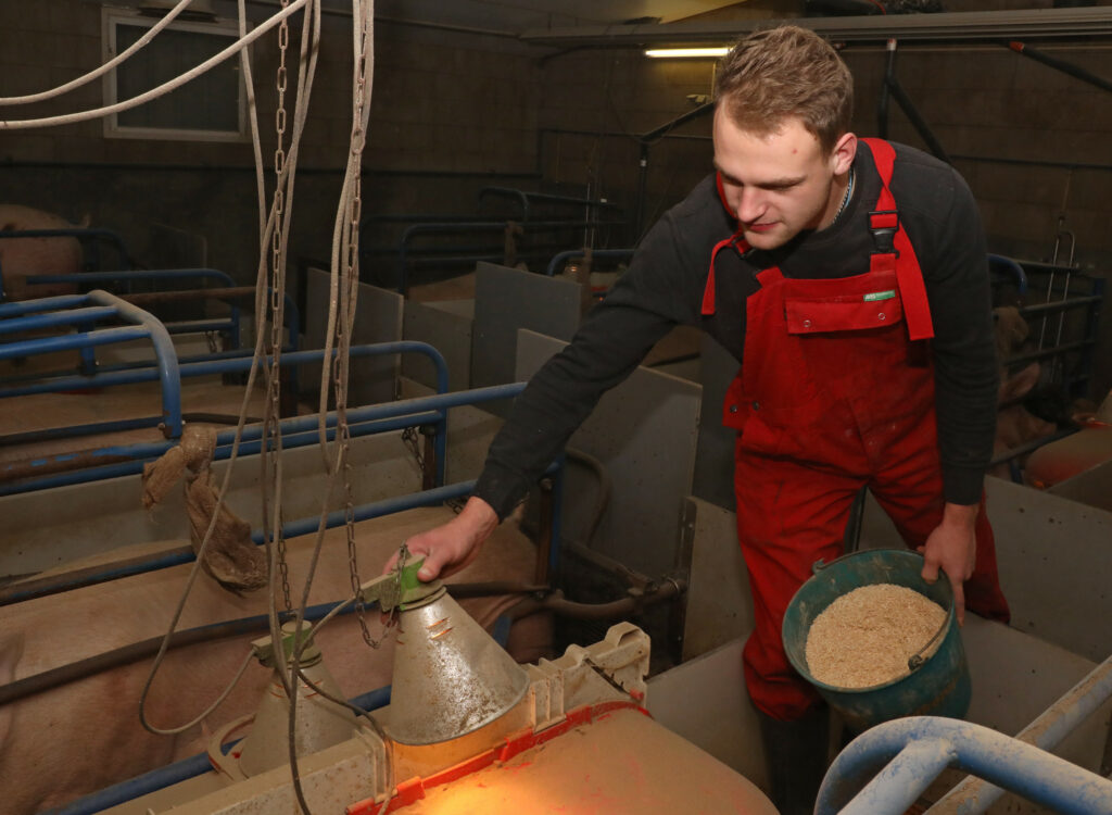 Het werk in de kraamstal vindt Tim het mooiste van alle werkzaamheden. Die kleine biggetjes zien opgroeien tot gezonde zware vleesvarkens, dat geeft hem veel voldoening.