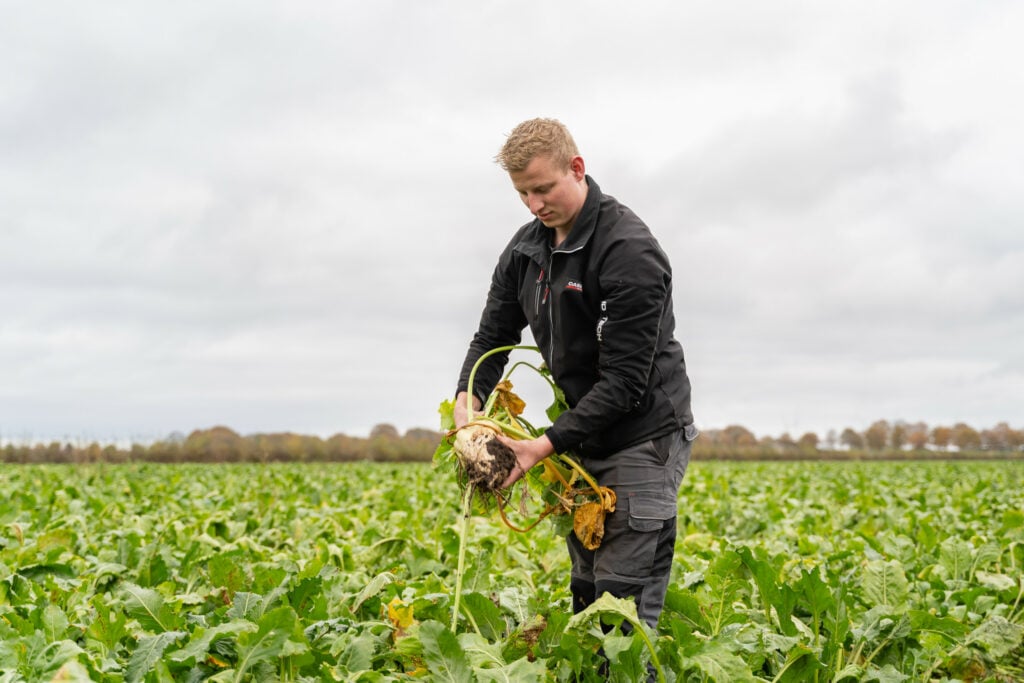 Tussen de gewassen lopen en zien dat alles goed gaat, geeft Stefan veel energie.