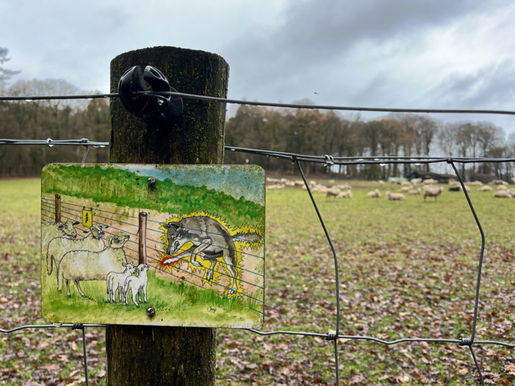 Foto: Boerderij