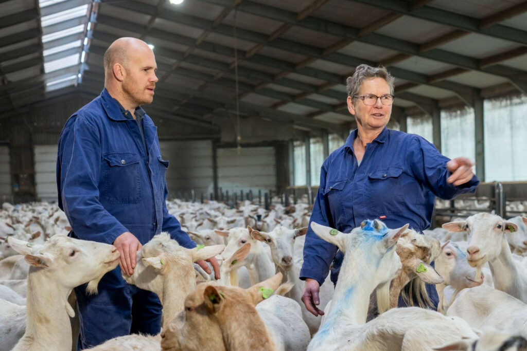 Leeke en Ria Bouwens: “Met oog voor detail en toekomst werken we samen aan een sterk melkgeitenbedrijf.”