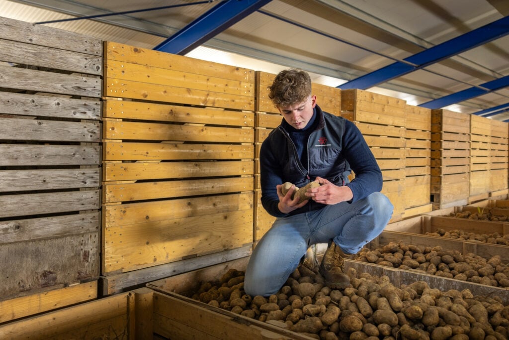 Tim in de aardappelopslag. Hij zou dit product graag een meerwaarde geven, bijvoorbeeld door een deel van de aardappelen te frituren en ze met een mobiele snackbar in de stad verkopen. Foto: Peter Roek