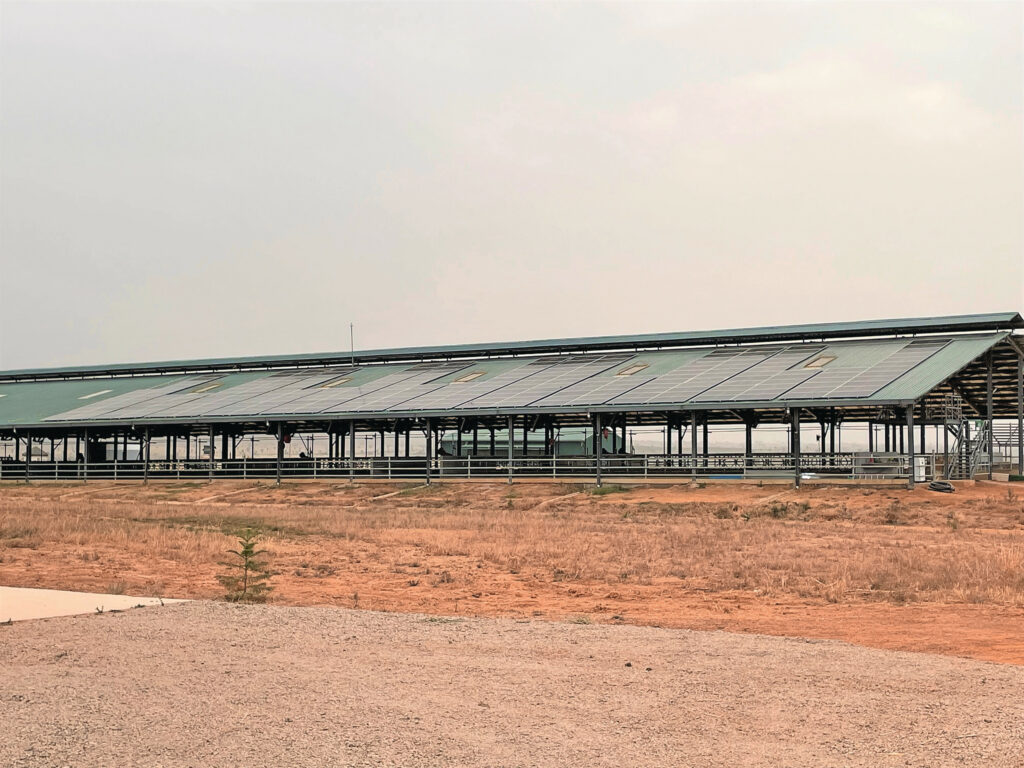 De terugverdientijd van de 250kW aan zonnepanelen is minder dan 5 jaar.