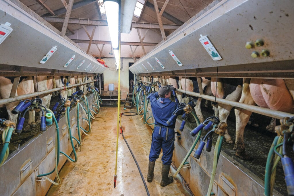 De conventionele melkstal verliest zeker in Nederland gestaag terrein aan de melkrobot. Toch wordt het systeem nog niet afgeschreven en blijft het voor een deel van de veehouders passend. Foto: Jan Willem van Vliet