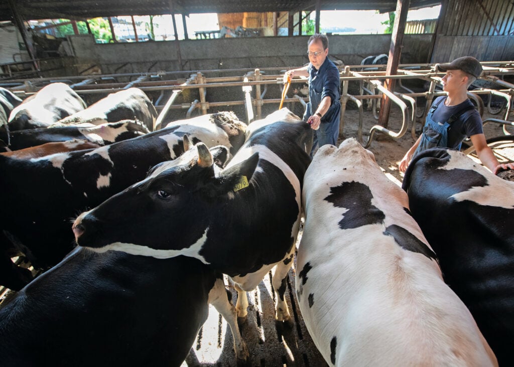 Vaccinatie is een goed middel om de gevolgen van een besmetting te verminderen. Ook dit jaar blijven vaccinaties nodig, omdat de bescherming terugloopt, waarschijnlijk volgend jaar ook nog. Foto: Hans Banus