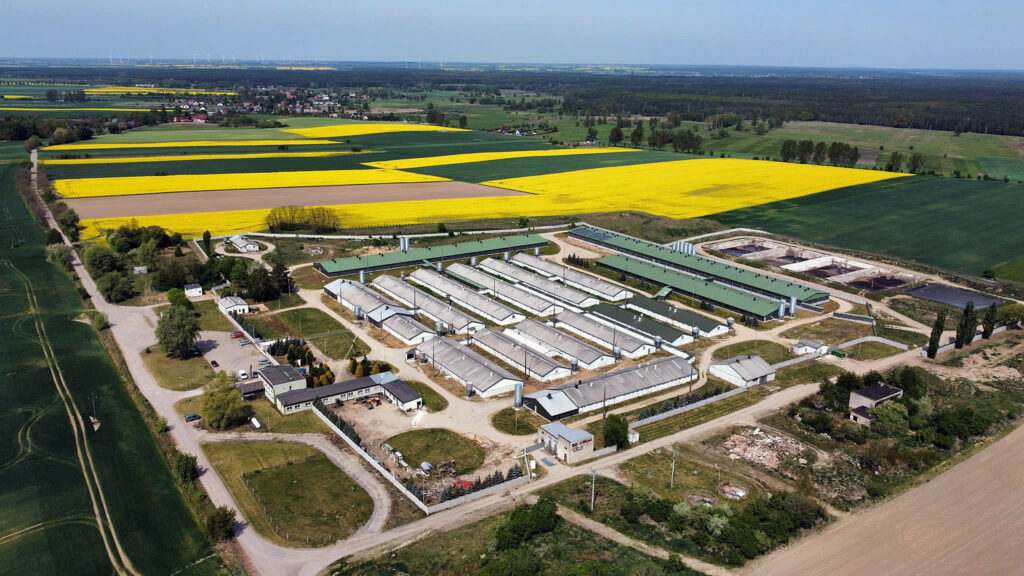 Luchtfoto van Agripam-boerderij in de Poolse provincie West-Pommeren.
