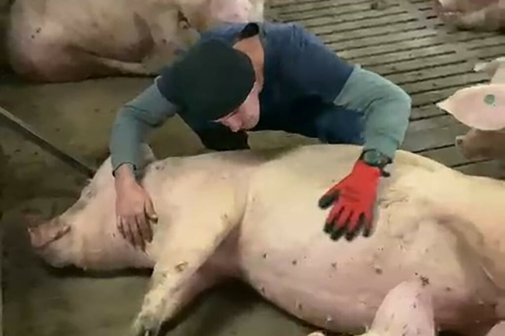 Vervangende zeugen krijgen individuele aandacht en aanraking van één van de 40 medewerkers.