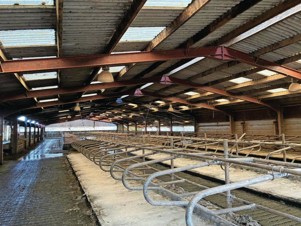 De ligboxenstal is drie keer uitgebreid. Er zijn nu zeven rijen boxen, van verschillende lengtes.