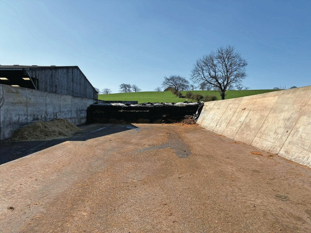 De sleufsilo's delen deels wanden met de stallen. Ze zijn beide 15 meter breed, en er wordt tot 5 meter hoog ingekuild.