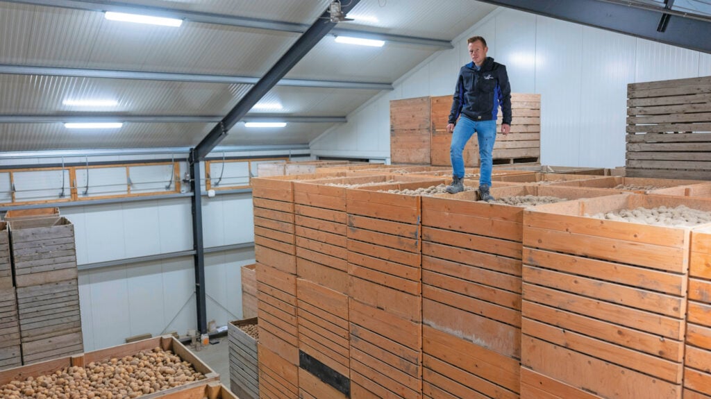 Opslag van pootgoed. Het meeste zit in de klassen A en E. Dat is uitstekend, maar Klaas wil de lat nog hoger leggen en richting klasse S gaan.