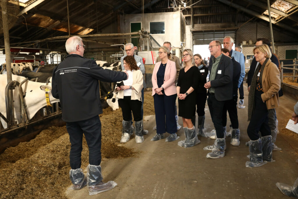Onderzoeker Gerjan Hilhorst (l) geeft in de stal van Agro-innovatiecentrum De Marke uitleg aan minister Femke Wiersma en leden van de landbouwcommissie.