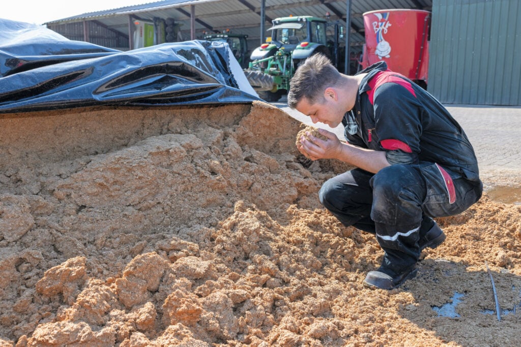 Onder het plastic zit een prima maiskuil. Op de achtergrond staat een deel van het machinepark. Het landwerk doen ze allemaal zelf, alleen voor het hakselen van gras en mais komt de loonwerker.