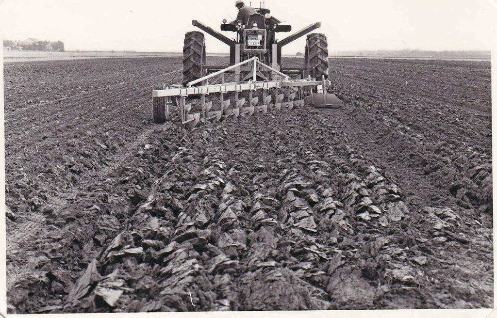 Slootdorp, 1978: IMAG (WUR)-proefbedrijf Oostwaardhoeve gebruikt een bemande trekker op breed spoor op rijpaden die automatisch ondergrondse geleidedraden volgt. Foto: WUR