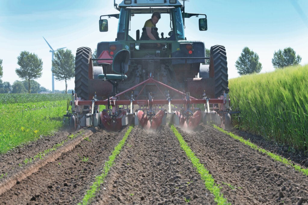 De Boerderij van de Toekomst in Lelystad is vanaf 2009 grotendeels overgegaan op vaste rijpaden. Dat gebeurt op de meeste percelen in combinatie met niet-kerende grondbewerking en strokenteelt (3 meter breed). Er worden aardappels, uien, peen, grasklaver, wintertarwe en veldboon geteeld. De rijpaden liggen 3,15 meter uit elkaar, daartussen wordt de grond nooit meer bereden. Ook niet tijdens de oogst en dat is vrij uniek. Foto: Mark Pasveer