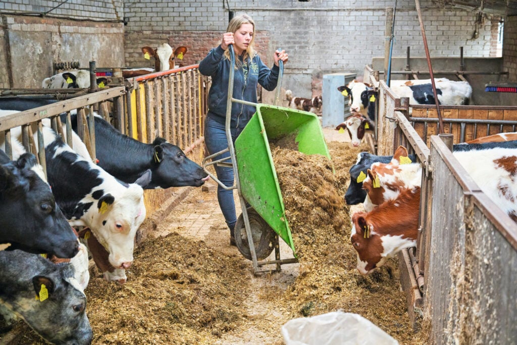 Het jongvee is eigenlijk aan een nieuwe stal toe. Julia hoopt dat ze hier nog een vergunning voor kan krijgen maar ze realiseert zich dat het mede door de stikstofcrisis niet makkelijk wordt.