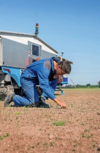 Op 29 april 2025 bekijkt Marien Poppe het wiedresultaat van de Robot Weeder ARW-912 van Andela Techniek & Innovatie in de uienrijen. Door forse besparing op arbeidskosten verdient Poppe Landbouw de investering van €800.000 in drie jaar terug.
