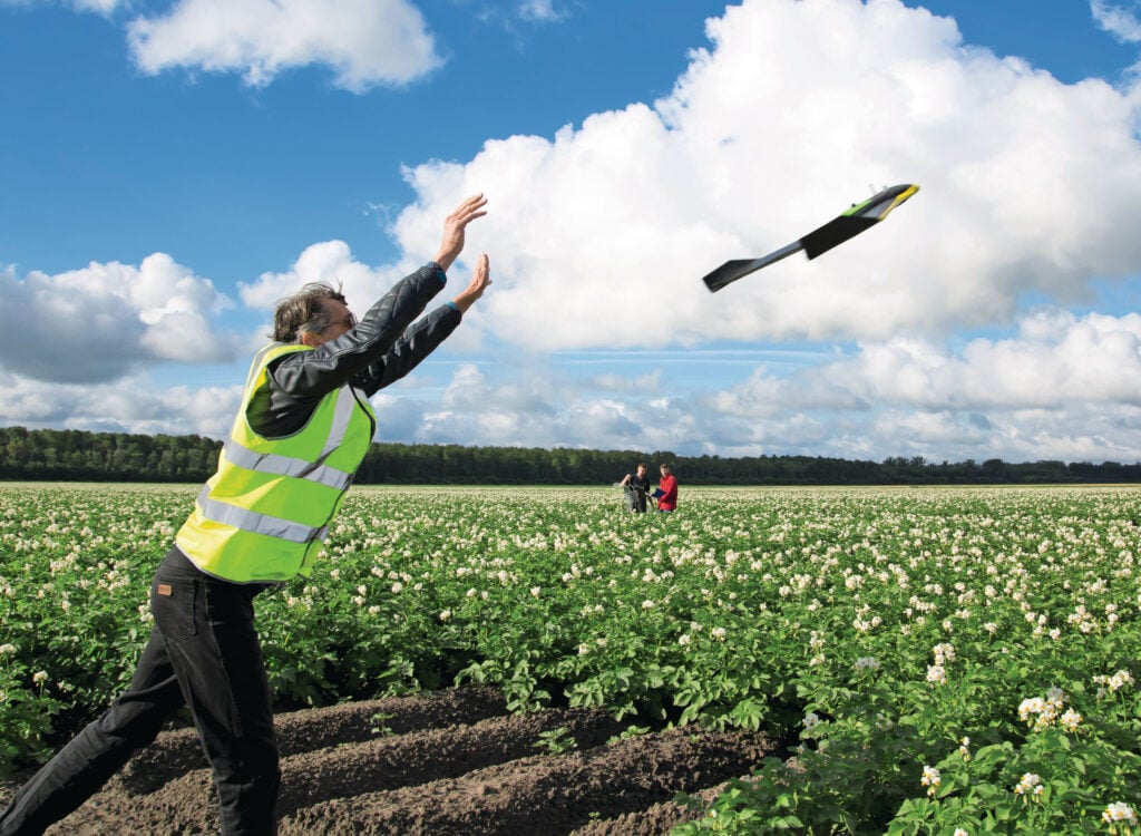 Als het lukt om met een drone nauwkeurig zieke planten te detecteren zou dat een enorme arbeidsbesparing en een relatief kleine investering betekenen. Foto: Ruud Ploeg