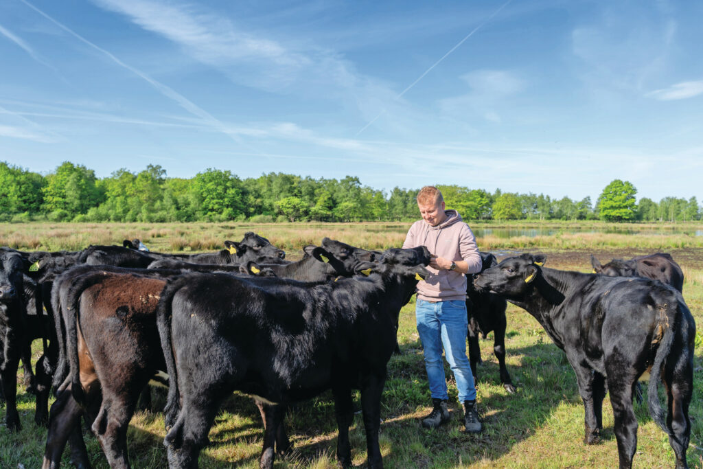 Lambert bij de Black Anguskoeien. Hij kocht ze op Marktplaats. De dieren lopen in een natuurgebied achter huis. Het vlees wordt straks deels aan huis verkocht.