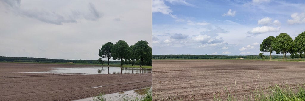 Inzet van TerraLife groenbemesters verbetert de waterinfiltratie. Foto links: perceel direct na een hoosbui en foto rechts hetzelfde perceel 24 uur later waar het water goed opgenomen is in de bodem.