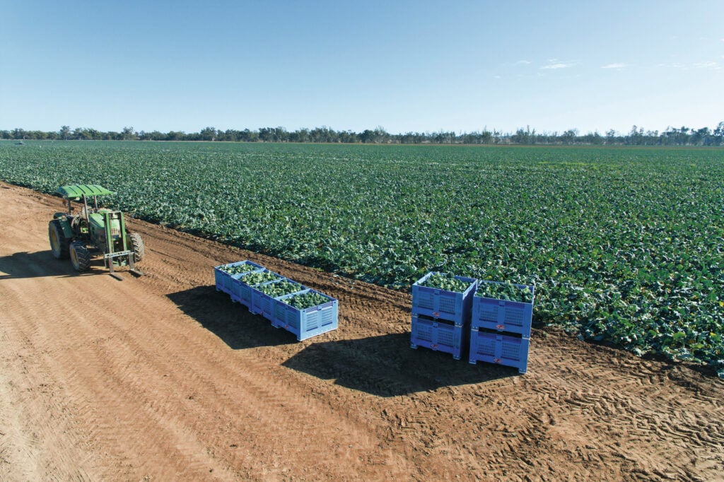 Qualipac gebruikt de FarmDroid op 81 hectare in broccoli. Een voordeel is de geringe bodemverdichting omdat de robot licht is. Het bedrijf bespaart bovendien op zaaizaad.