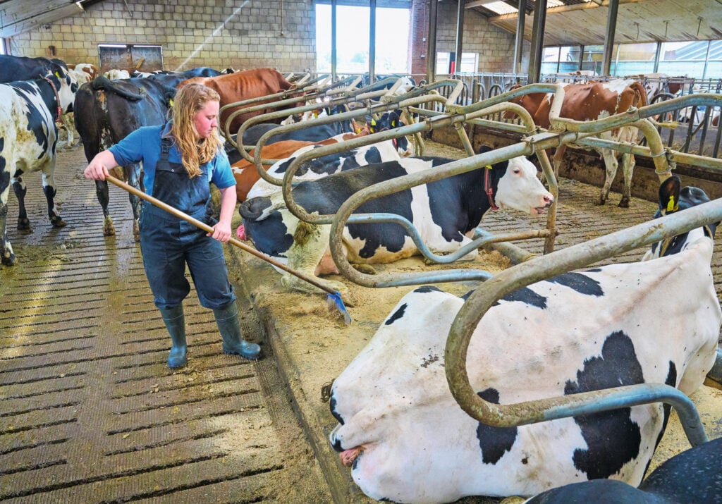 Er is geen werk dat Femke minder graag doet. Als het lekker loopt en alle dieren zijn gezond, dan heeft ze het ook naar haar zin. ‘Het mooiste werk is het werk dat moet gebeuren.’