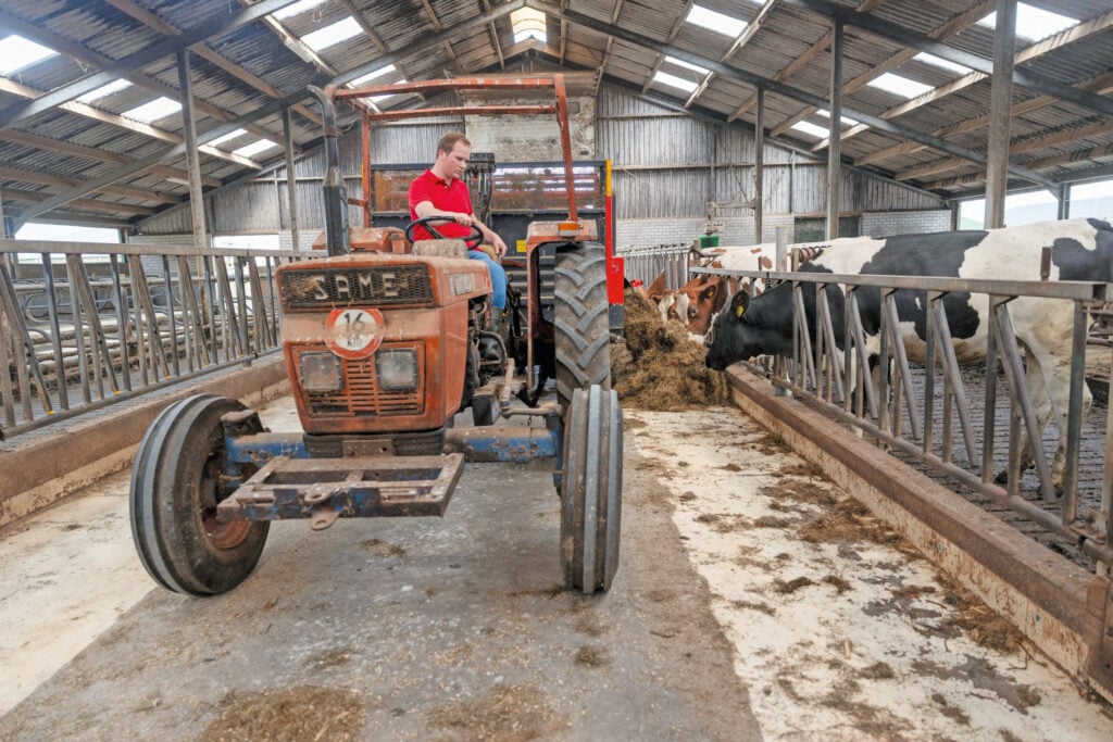 Dirk bezig met voer voorgooien. De stal voldoet nog goed, wel zijn nieuwe strohokken welkom. Voor de droge en verse koeien. Er zijn al wel strohokken, maar op dat punt is er eigenlijk net ruimte te kort.