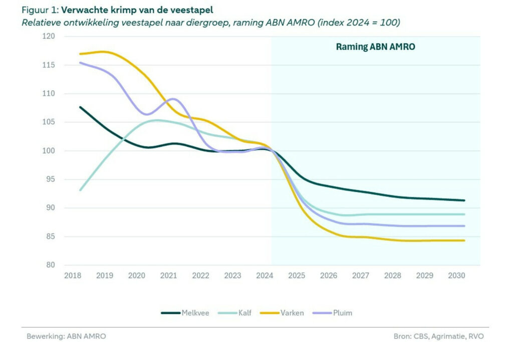 Toelichting ABN Amro: In de periode 2018-2025 zien we al een sterke daling in het aantal varkens als gevolg van de subsidie sanering varkenshouderij (Svr) en bij pluimvee als gevolg van de transitie van veel bedrijven naar het Beter Leven-keurmerk. Bron: rapport ABN Amro ‘Krimp veestapel reikt verder dan het boerenerf’