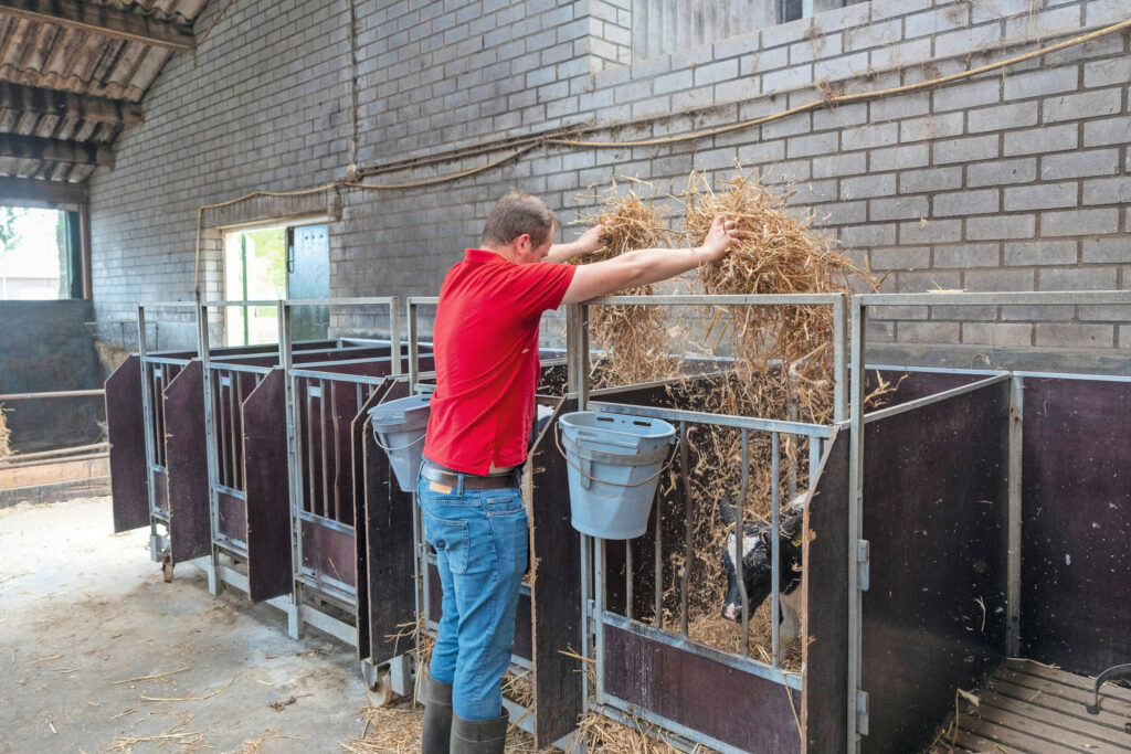Wie weet wordt dit een nieuwe topper in de melkstal.