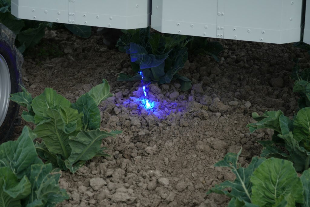 De Earth Rover gebruikt een geconcentreerde lichtbundel, duidelijk te zien door de blauwe kleur, om het onkruid te koken. Door het koken van het onkruid gaan de celwanden kapot en sterft het af.