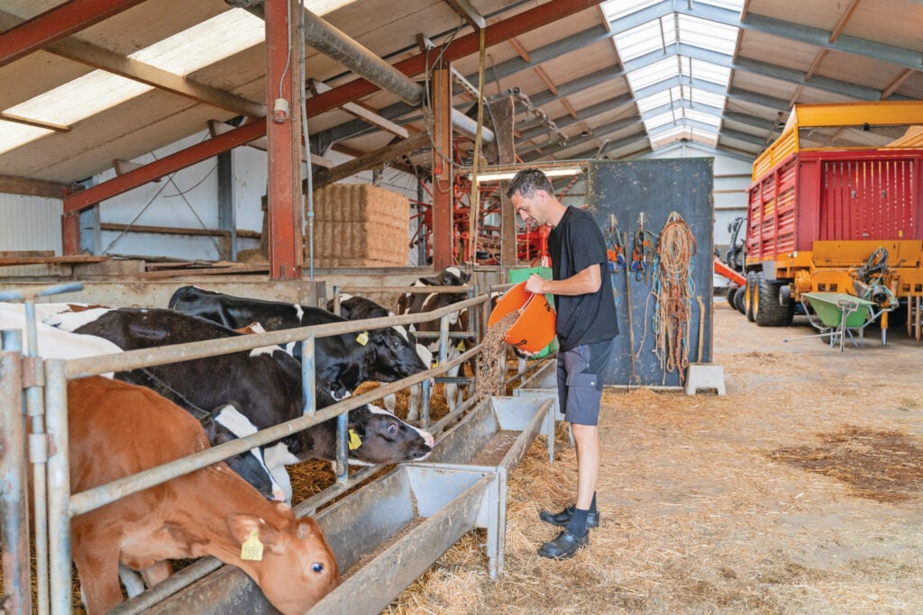 Roelof is altijd graag met het vee bezig, maar gewassen telen vindt hij ook mooi. Een beetje extra grond zou hem dan ook wel passen. Aan de administratie daarentegen heeft hij een hekel.