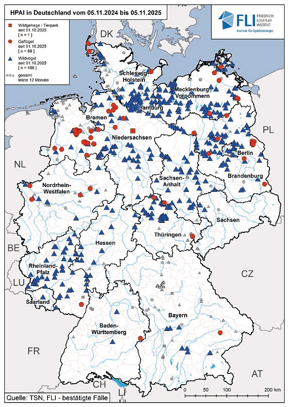 Uitbraken van hoogpathogene vogelgriep in Duitsland. De rode stippen zijn uitbraken bij gehouden pluimvee sinds 1 oktober 2025; de rode vierkanten duiden uitbraken in dierentuinen en wildparken aan, en de blauwe driehoeken geven besmettingen bij wilde vogels weer. In het lichtgrijs zijn de uitbraken van eerder dit jaar (voor 1 oktober) te zien. Foto: Friedrich-Loeffler-Institut